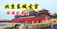 中出喷水粉嫩馒头中国北京-东城古宫旅游风景区